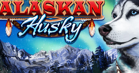 Play Alaskan Husky Slot