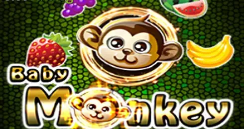 Baby Monkey Slot by Ameba  Free Demo and Review