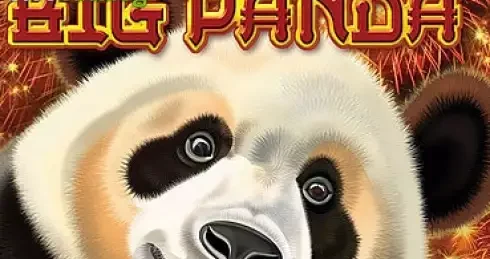 Play Big Panda Slot