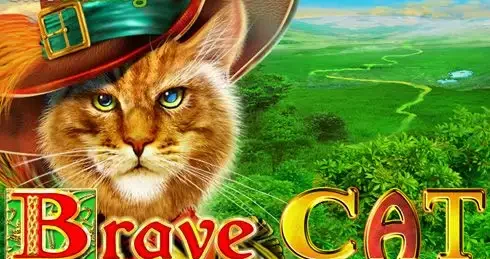 Play Brave Cat Slot