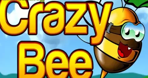 Play Crazy Bee Slot