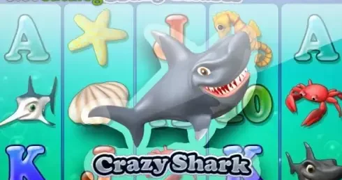 Play Crazy Shark Slot