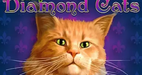 Play Diamond Cats Slot