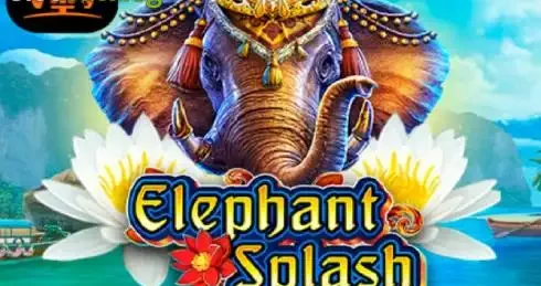 Elephant Splash Slot – Review, Demo, Casinos, Bonuses