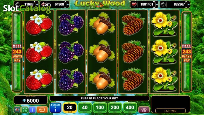 Video Lucky Wood Slot Gameplay