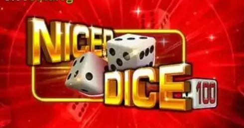 Play Nicer Dice 100 Slot