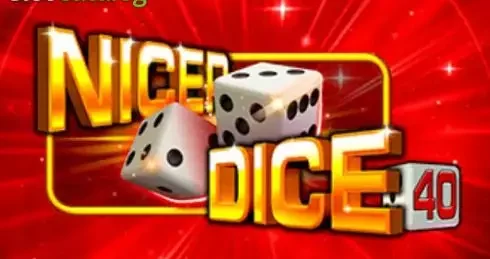 Play Nicer Dice 40 Slot