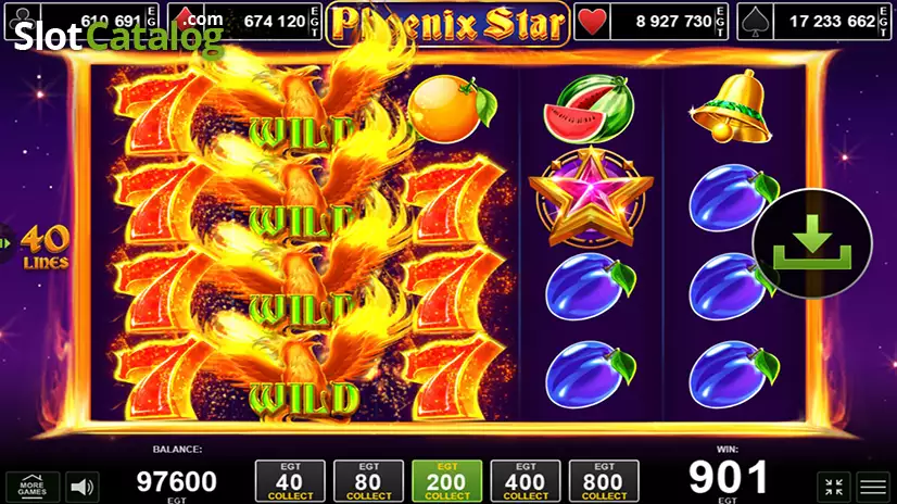 Phoenix Star Win Screen