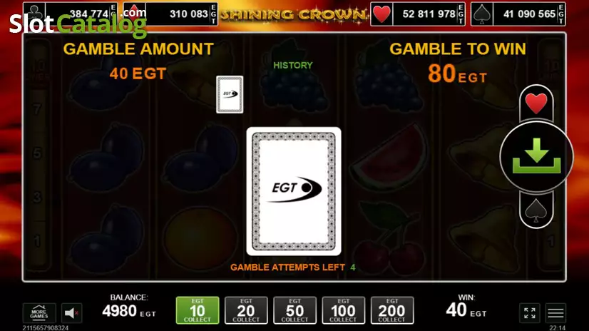 Shining Crown Gamble Feature