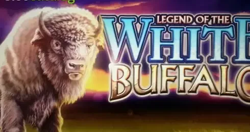 Play White Buffalo (Amaya) Slot