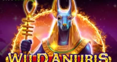 Play Wild Anubis Slot