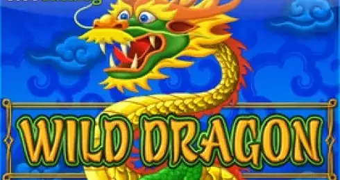 Play Wild Dragon (Amatic) Slot