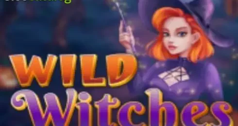 Wild Witches (Amatic Industries) Slot by Amatic Industries  Free Demo and Review