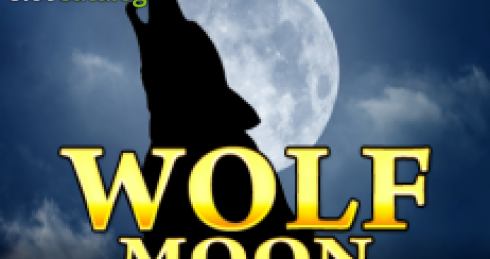 Play Wolf Moon (Amatic) Slot